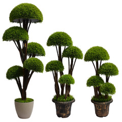 メーカーシミュレーション異形松針樹偽緑植螺旋樹シミュレーション盆栽室内客間緑植置物アマゾン