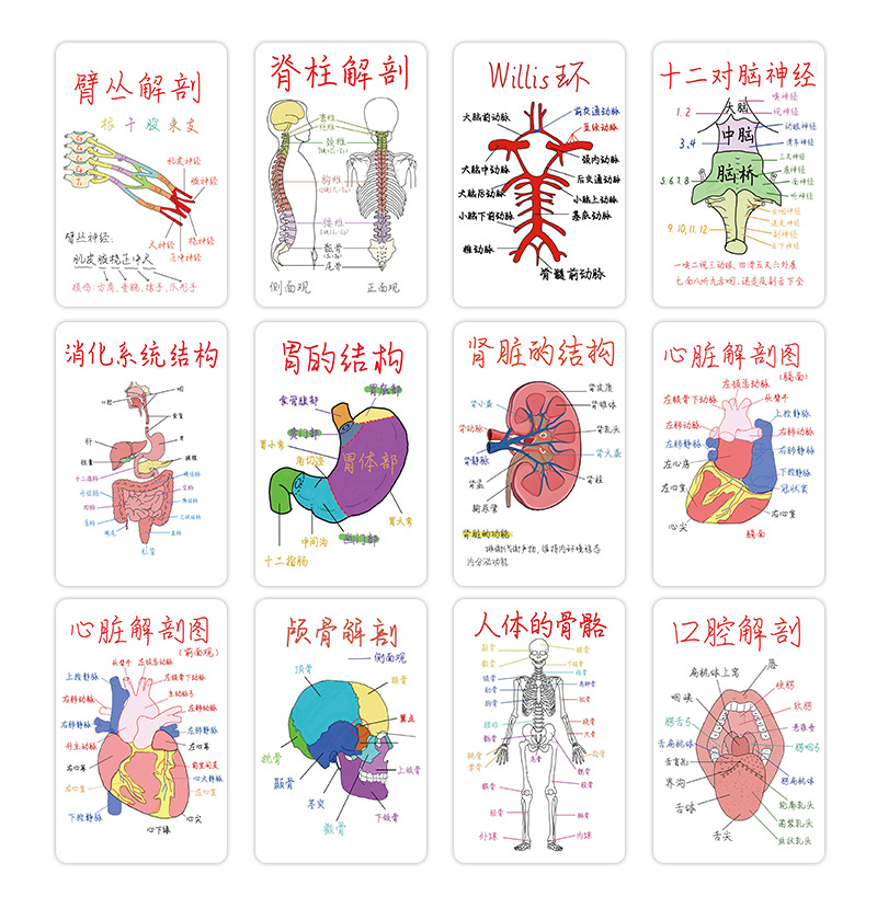 详情图