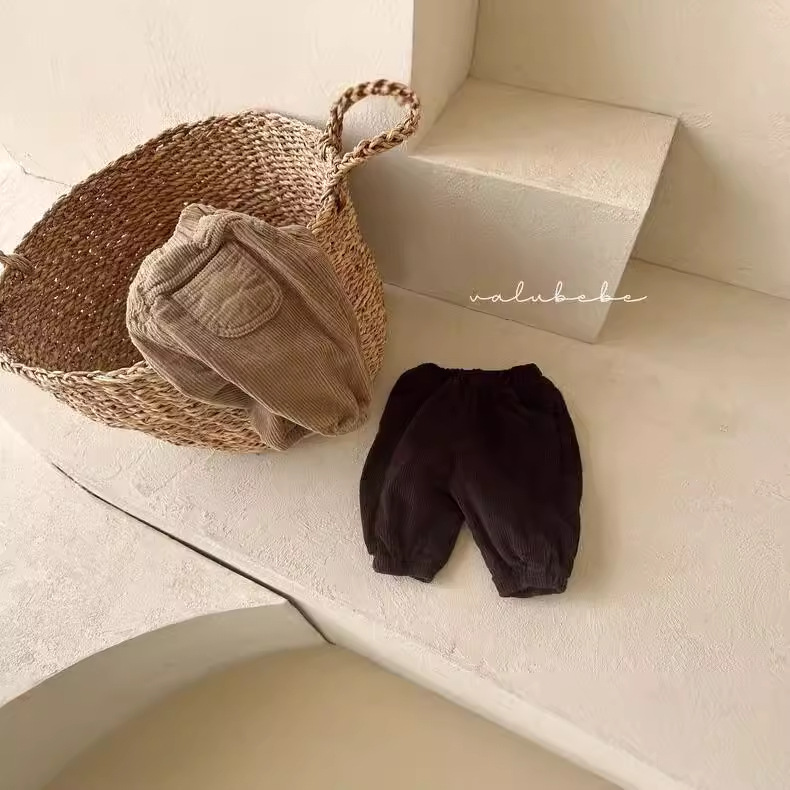 Ropa de invierno para bebés, estilo coreano, ropa infantil, invierno 2024, nueva ropa de paseo para bebés, pantalones de pana con forro polar para bebés