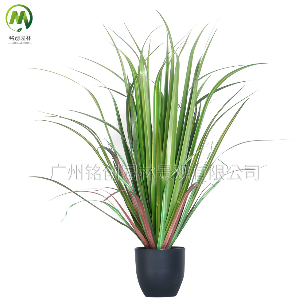 Imprescindible para que las celebridades de Internet se metan en la simulación de cañas, plantas en macetas, plantas de cebolla, decoración de muebles, plantas de simulación de cañas