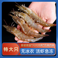 ���r3040�r������r�ش��ك������r���r���rˮ�a�r����r�}���r