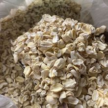 ���l����ɏ�Ӱ�ɏ�Ӹ���ɏ�ӟoоĥ��ɏ������W������ɢ�b