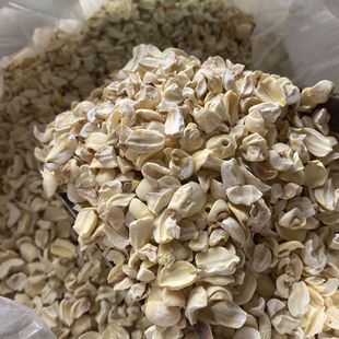 ���l����ɏ�Ӱ�ɏ�Ӹ���ɏ�ӟoоĥ��ɏ������W������ɢ�b