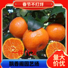 �����S�ҟo���۽���޽ӽ��Ә����������S���۽۹����箔��Y����