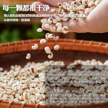 薏仁米薏米仁5斤新貨農家貴州大薏仁米配紅豆赤豆五谷雜糧粗糧油