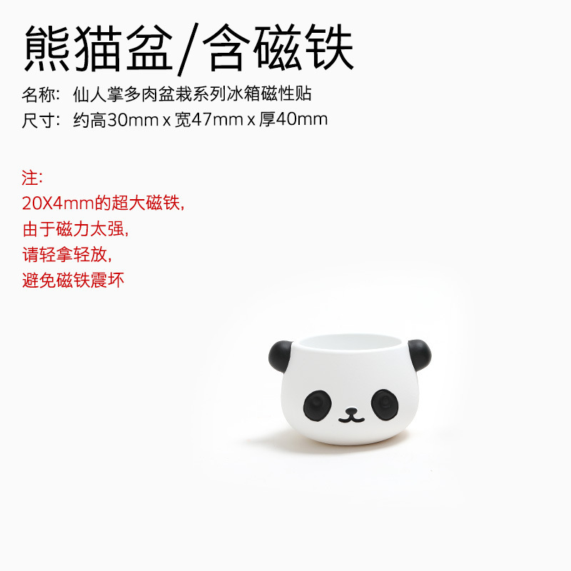 仙人掌盆栽屬性-02