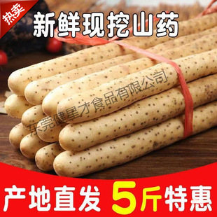 ��Ŵ�F��С���ڽ�����������]���F��ɽș��ɽș��ɽș���^