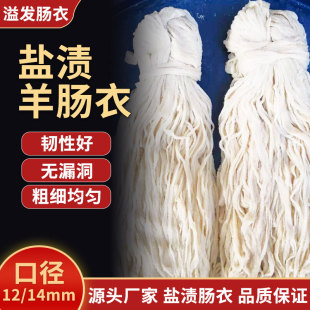 ��ڏ��̴a�}�n���c��24-26�����c̨�����c��Ƥ�c�c�����l