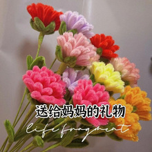 (成品)扭扭棒康乃馨手工制作母亲节康乃馨郁金香花束送妈妈礼物