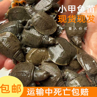 �³������A�M�����B�BֳС���~��ˮ�~��������l�������r����]��