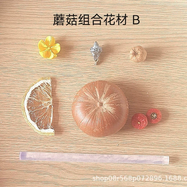 Materials set with clove mushrooms