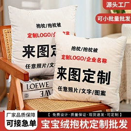 靠垫/抱枕