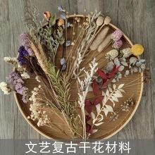 ��֦��ֲ��˱�����R�����h�ػ��b�diy����
