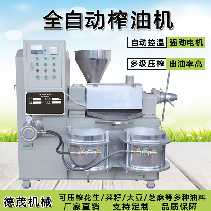 小型花生榨油机 全自动商用精炼螺旋榨油机 冷热两用榨油机械设备