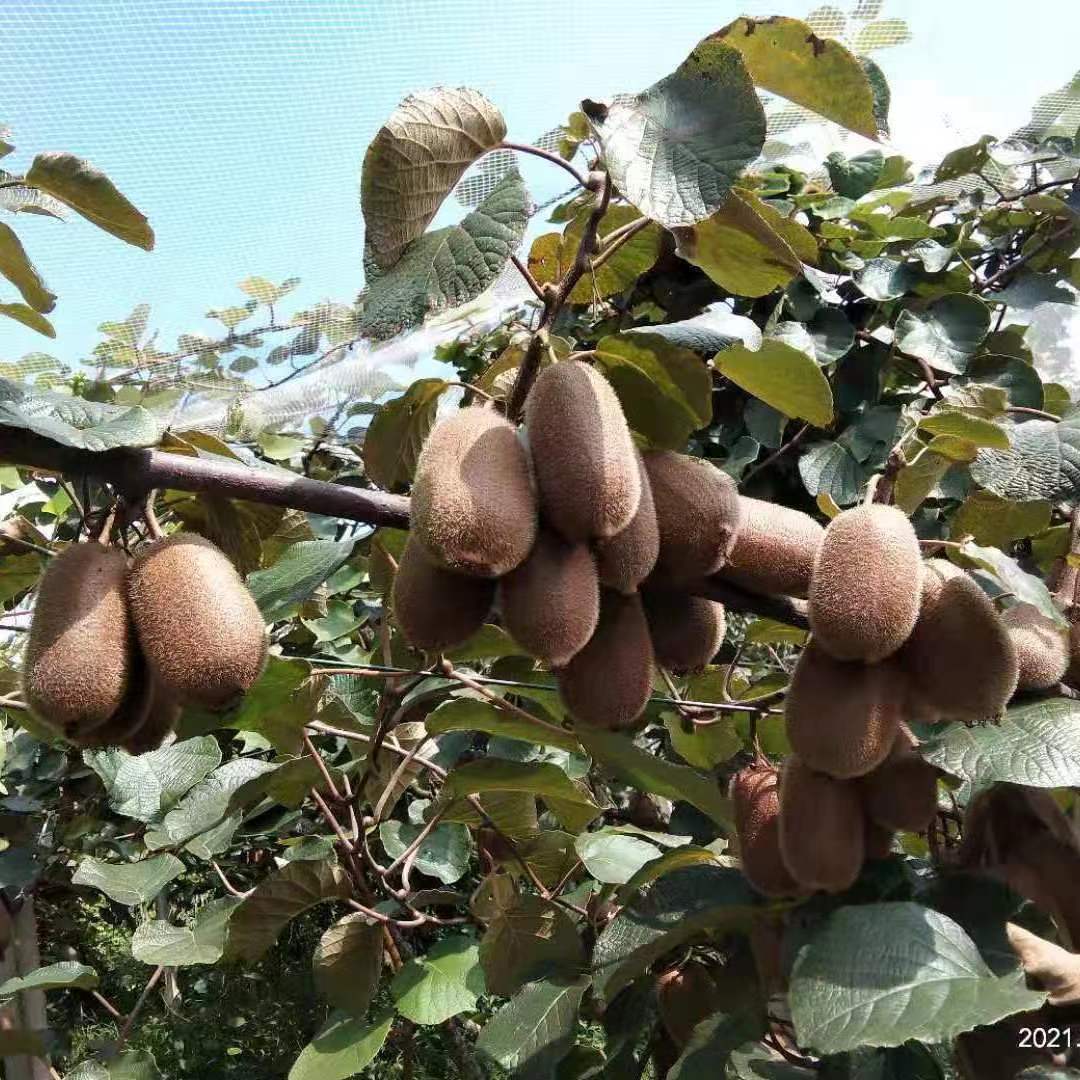 微信图片_20221118013944