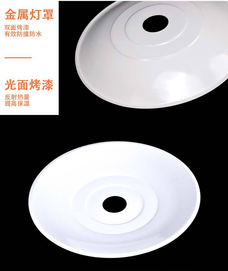 详情 (19).jpg