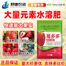 ݮ��� ��ݮ����،��ù����Dɫ�����������������ˮ�ܷʵι��