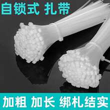 �����������L�����������o�̶����Ͽێ����L�Ӵ����iʽ����