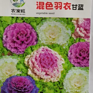 �����ɫ���¸��{�N��ĵ���˸��{�N�������^�pʳ�úÿ��׺÷N