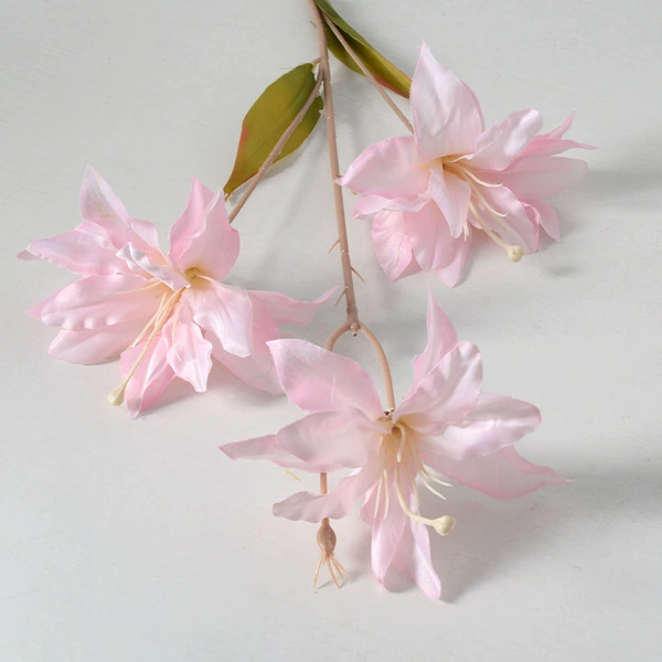 Fuchsia