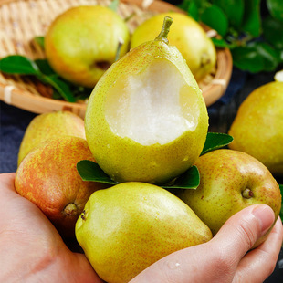 �½��젖�����殔���Fժ���rˮ���ЋD����С������S���]һ�����l