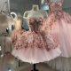 Pink Evening Dress Super Fairy Art Test Performance Off-Shoulder Toast Dress Luxury Slimming Solo Dress Wedding Engagement