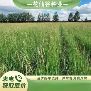 ��ݷN����ݲ����o�·N�����ݾG���ݷNţ���R�G�h���B�G��