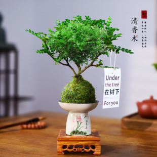 �������ľ���Կ͏d�҃��k���ҾGֲ��ʽ�辰���BͥԺֲ���^�p�[��