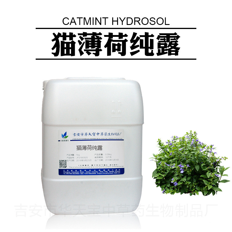キャットニップ純露 蒸留抽出天然キャットニップエキス 初回抽出飽和花水原料メーカー卸売|undefined