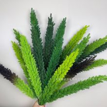 婚庆仿真绿植狼尾绿植造景花艺草飞燕草花材狐尾仿真变色天门冬