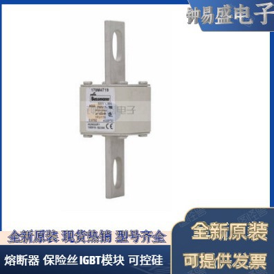 BUSSMANN巴斯曼熔断器 170M5008 170M5009 170M5010 巴斯曼快熔