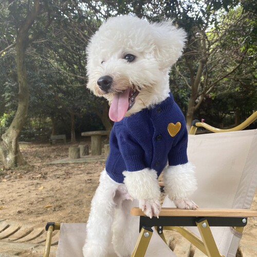 Dog and Cat Autumn/Winter Warm Pet Sweater for Bichon Frise, French Bulldog, Pomeranian, Shih Tzu—Small to Medium-Sized Solid-Color Cardigan Clothing