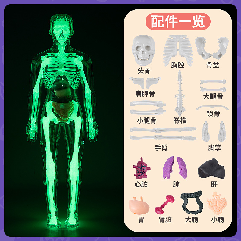 Glow-in-the-dark mannequin (packed in bag)