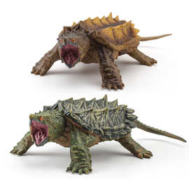 仿真两栖爬行动物鳄龟淡水龟模型静态摆件拟水龟模型玩具跨境外销