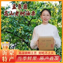 【原味大包装 】买4发8 正宗沂蒙山老树油栗仁 不加糖 氮气锁鲜