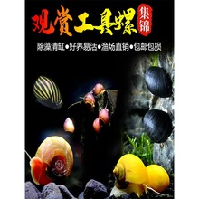 �^�p���O���ݺڽ����ʵ��������S����R���[�坍���幤���ݻ��w��