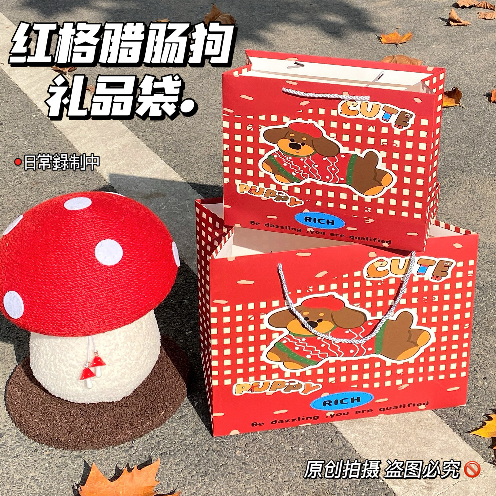 붉은색 닥스훈트; 흰색 카드보드지; 대형 30*24*12cm