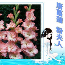 mNش̖ѷNܾGֲBͥԺļNֲN