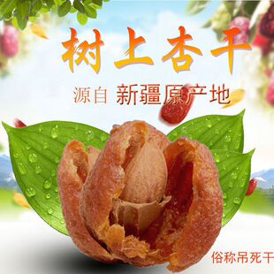 �½��خa�����Ӹ�1000g �������� �� һ�Ӄɳ�500����؛