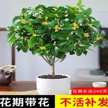 𻨘Կʳýļ_̨҃ͥԺͻ