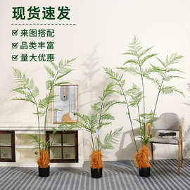 仿真绿植金丝猴头蕨室内客厅卧室仿生绿植金丝蕨户外庭院装饰盆栽