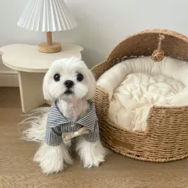 狗狗玩具;狗狗服装;宠物鞋靴