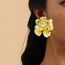 �羳�͹Ž�ɫ���w�������p�ݸ߼����F����r�Ђ���С���OӋ��