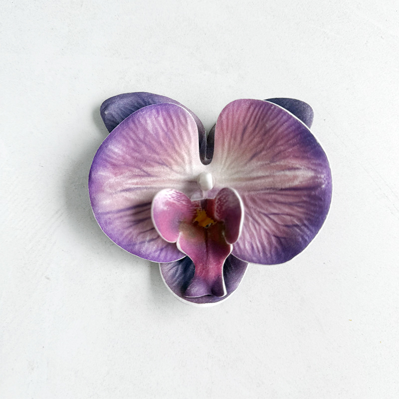 미디엄 에바 호접란-다크 퍼플