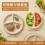 一次性可降解定制烧烤盘子