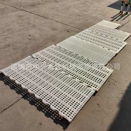 厂家批发鸭用漏粪板价格便宜塑料鸭垫板养鸭塑料鸭粪板图片