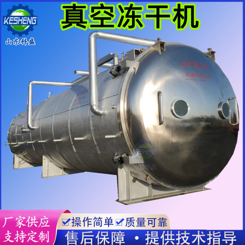 厂家直供银耳冻干机 紫薯片真空冻干机 果蔬片肉类真空冷冻干燥机