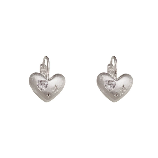 Silver metal matte earrings