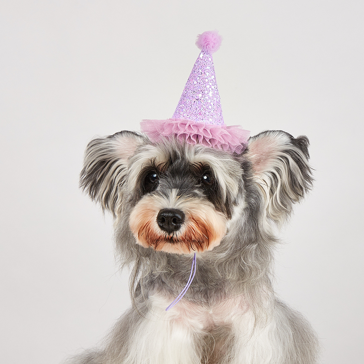 Decoración de fiesta de mascotas transfronteriza sombrero de cumpleaños para perros accesorios de decoración de cumpleaños para gatos sombrero de cumpleaños para mascotas para perros