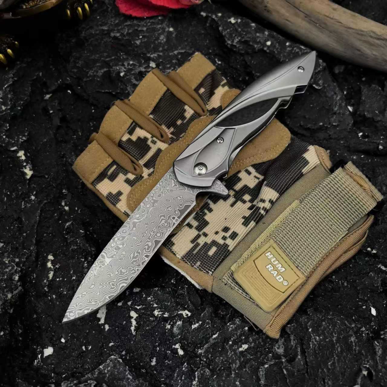 돌연변이상어 그레이